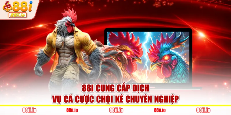 88I cung cấp dịch vụ cá cược chọi kê chuyên nghiệp