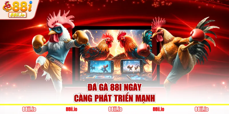 Đá gà 88I ngày càng phát triển mạnh